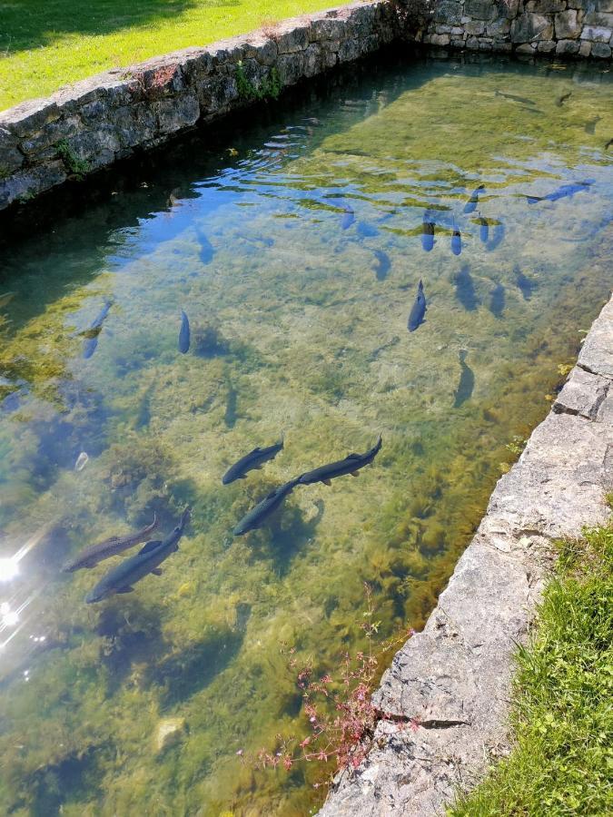 Les Pieds Dans L'Eau, Gite La Source Lachapelle-Auzac Luaran gambar
